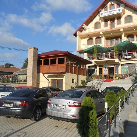 Pensiunea Cristal Тулча Экстерьер фото